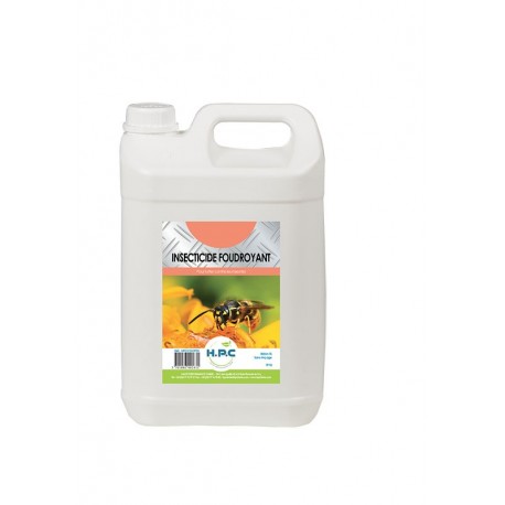 INSECTICIDE FOUDROYANT